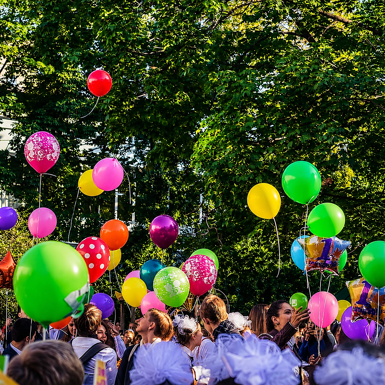 Fiesta y color